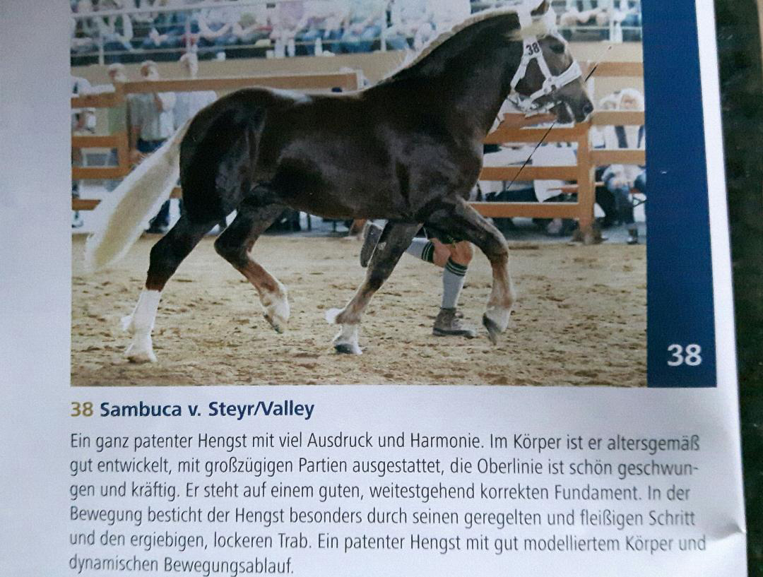 Sambucca